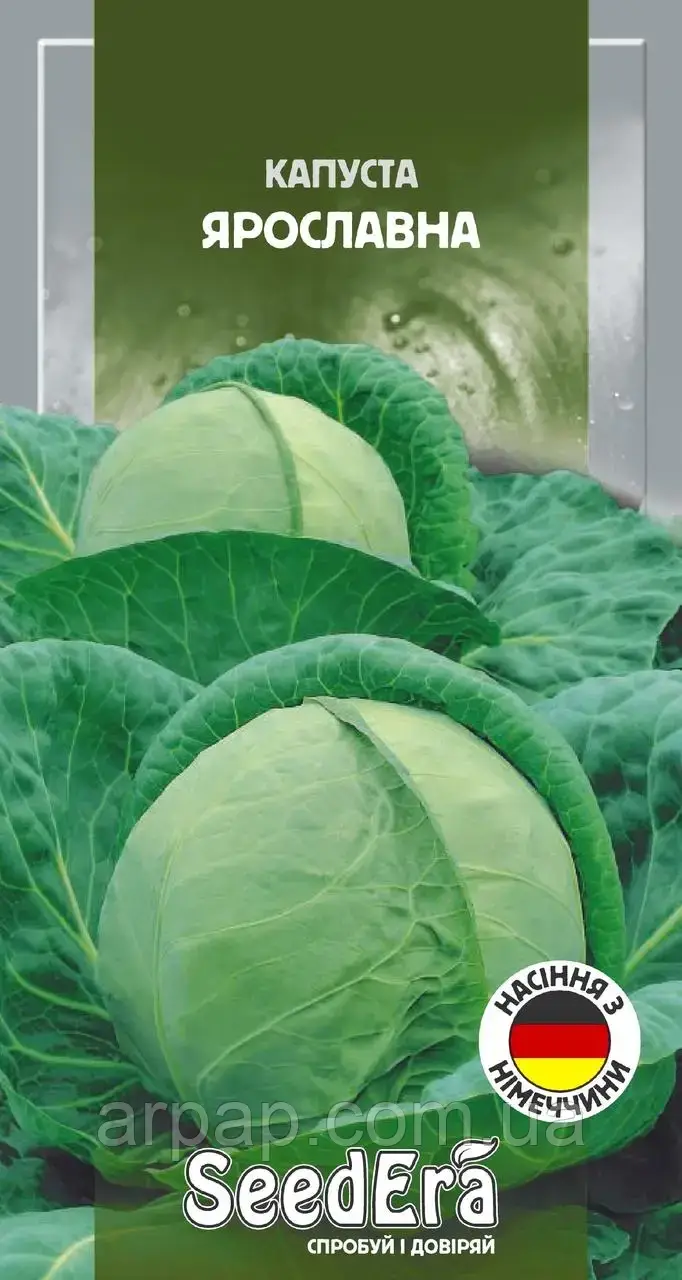 Насіння Капута білоголова Ярославна 10г, фото 1