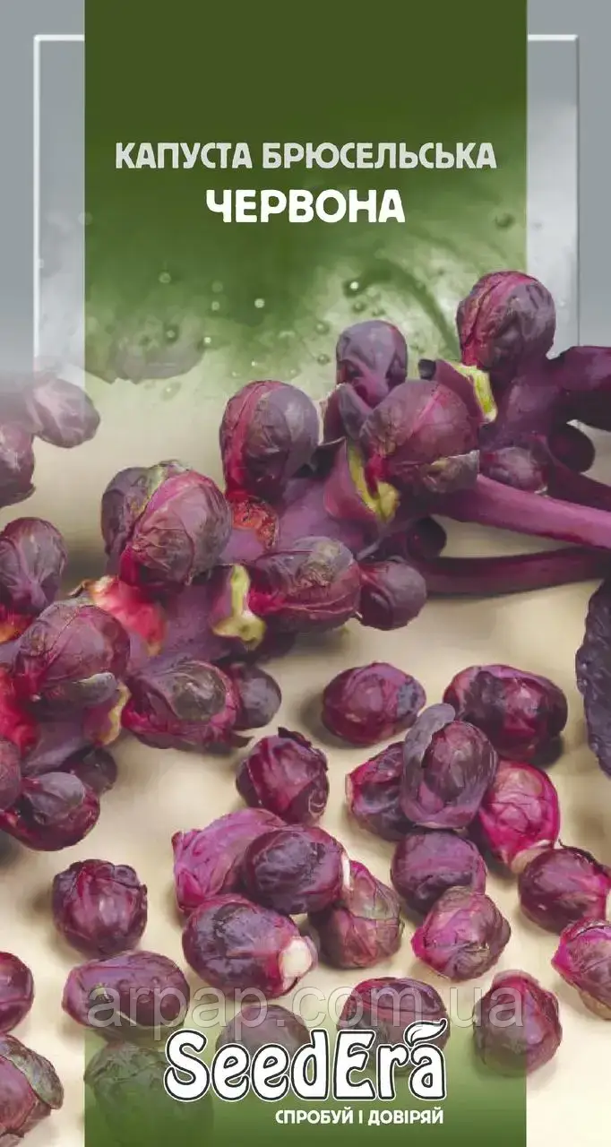 Брюссельська капуста Червона Seedera, 0,1 г, фото 1