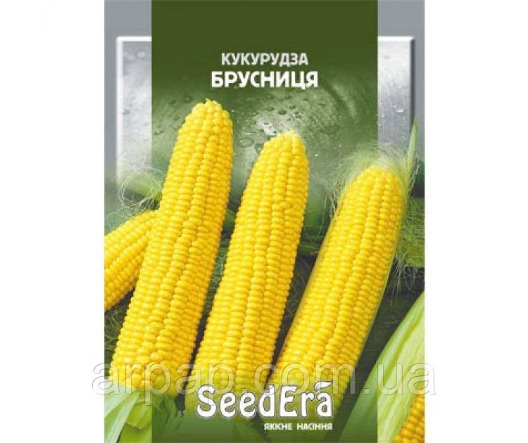 БРУСНИЦЯ 20 г, фото 1