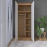 Шафа дводверна 990 Нордик, Дуб Крафт Золотий, Білий, фото 6