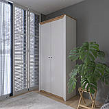 Шафа дводверна 990 Нордик, Дуб Крафт Золотий, Білий, фото 7