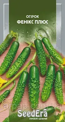 Огірок Фенікс Плюс 1 г, Seedera, фото 1
