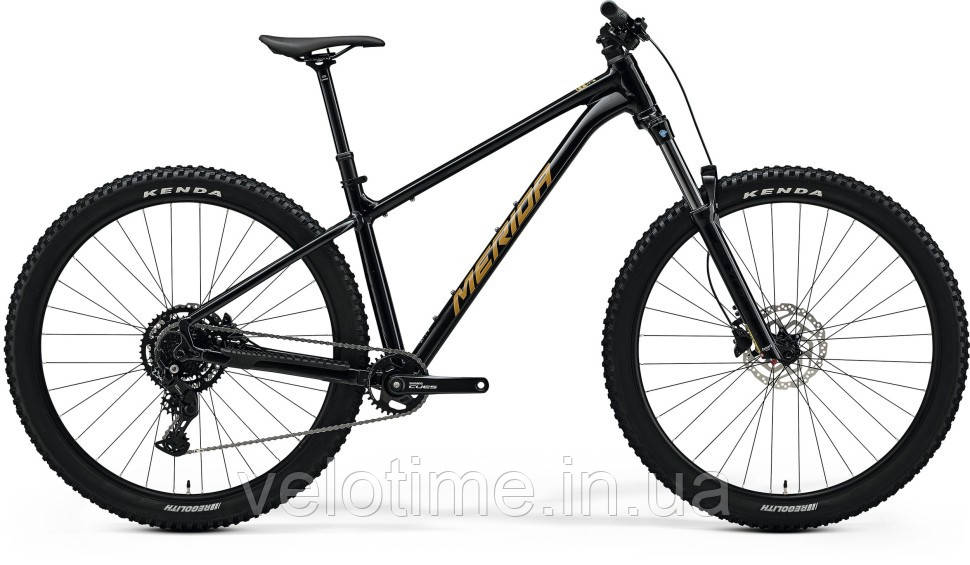 Merida Big.Trail 300 2025 (M, BLACK(BROWN))
