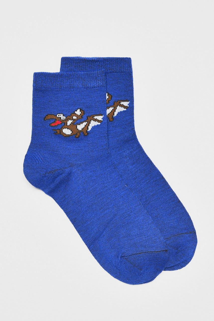 Шкарпетки дитячі демісезонні синього кольору 192938S, фото 1