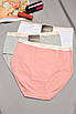 Набір жіночих трусів напівбатальних 3 штуки 195513T Безкоштовна доставка, фото 2