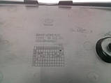 Накладка під номерний знак Chevrolet Aveo T255 ЗАЗа хетчбек, фото 3