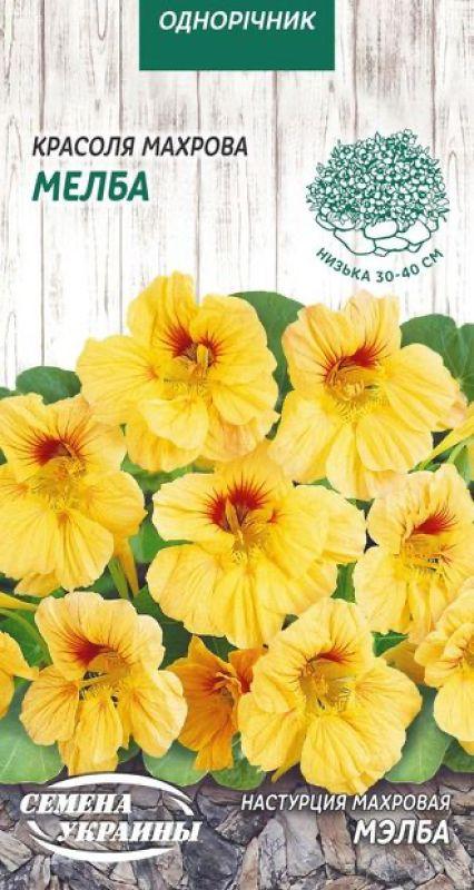 Насіння Квіти Красоля Махрова Мелба 1 г Насіння України