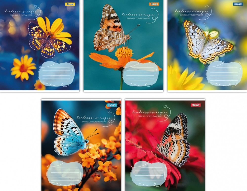 Зошит 48 арк. клітина 1B "Butterfly" 767357, фото 1