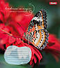Зошит 48 арк. клітина 1B "Butterfly" 767357, фото 5
