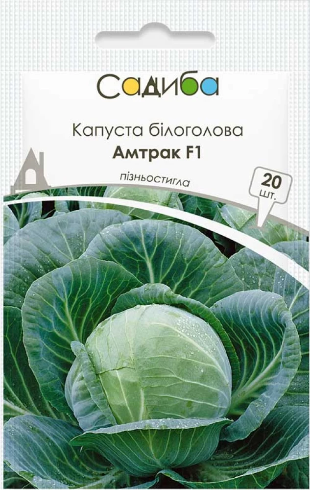 Капуста білоголова Амтрак F1, 20 шт., Садиба