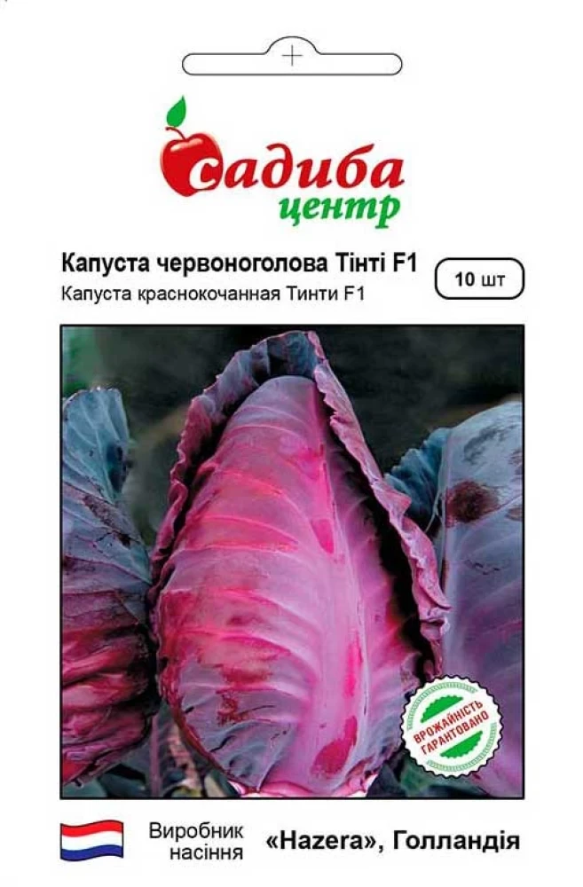 Капуста червоноголова Тінті F1, 10 шт., СЦ