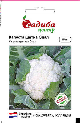 Насіння капусти Опал (Rijk Zwaan / САДИБА ЦЕНТР) 15 насінин — ультра-раннє (55-60 днів), кольорова, фото 2