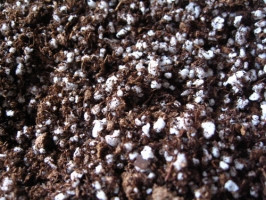 Суміш для пересадки хижих рослин, AlienPlants, верховий торф ph 3-4, перліт.