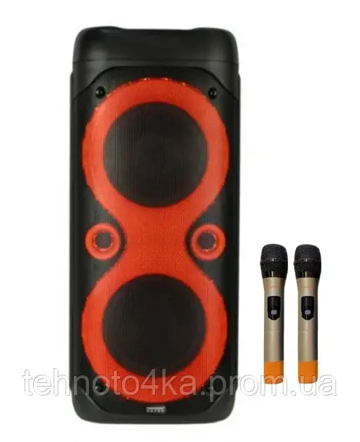 Акумуляторна колонка Temeisheng TMS-D208