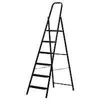 Драбини та драбинки