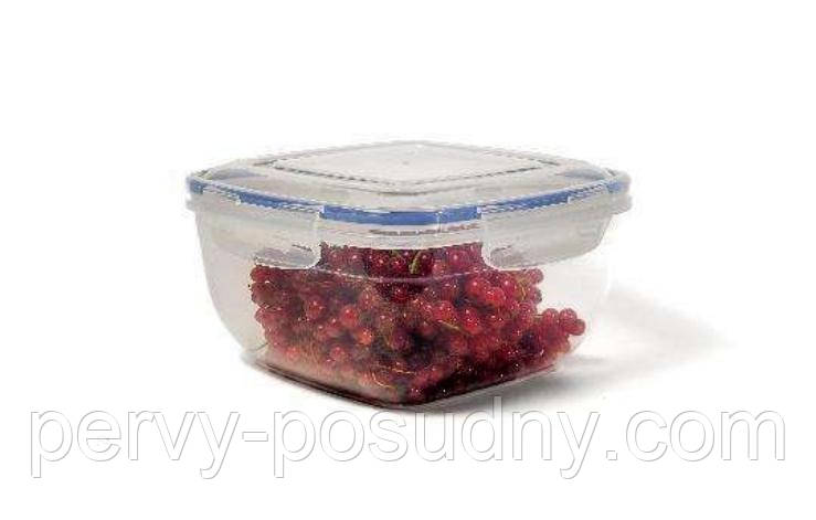 Контейнер для зберігання Stars Plast 2.4 л 94061