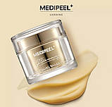 Крем для обличчя від зморшок Medi-Peel Premium Golden Camellia Wrinkle Cream (50 g), фото 2