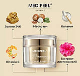 Крем для обличчя від зморшок Medi-Peel Premium Golden Camellia Wrinkle Cream (50 g), фото 5