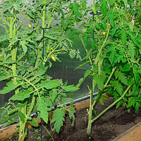 Набір металевих рослинних паличок 10 шт