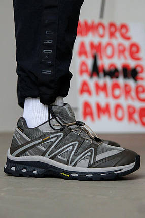 Зимові Чоловічі Кросівки Salomon XA Gore-Tex Grey Brown / Саломон ХА Гор Текс Сірі з Коричневим (Хутро), фото 1