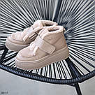 Жіночі зимові бежеві черевики з хутром тедді, фото 4