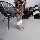 Жіночі зимові бежеві черевики з хутром тедді, фото 8