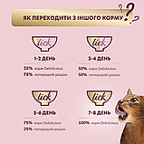 Корм вологий Delickcious для дорослих котів Суп з сардини з креветками та додаванням гарбуза 80 г, фото 9
