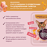Корм вологий Delickcious для дорослих котів Суп з сардини з креветками та додаванням гарбуза 80 г, фото 5