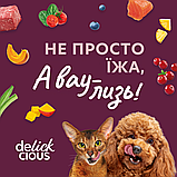 Корм вологий Delickcious для дорослих котів Пластівці з качкою та лісовими ягодами у вершковому соусі 80 г, фото 9