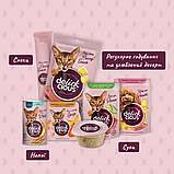 Корм додатковий Delickcious для дорослих котів Напій з куркою 140 г, фото 8