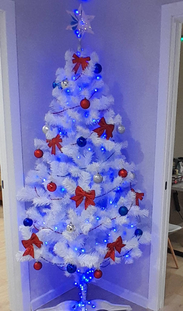 Світлодіодна гірлянда на ялинку, 28м, 500 LED, 8 режимів, прозорий провід, Синій - фото покупців 1