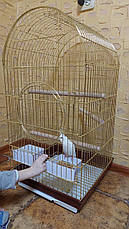 Велика клітка Lucky Birds для середніх папуг, 100 х 48 х 48 см, з верхом, що відкривається, фото 5