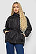 Куртка жіноча демісезонна з поясом, колір чорний, 207R2023 - фото 1 - id-p2721159039