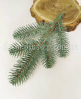 Гілка ялини блакитна 5-ка