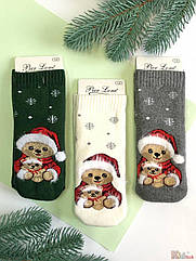 ОПТОМ Носки махрові ароматизовані "New Teddy" (14/1-2 роки) Pier Lone 8681788608033