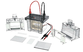 Набір для вертикального електрофорезу (подвійна пластина) DL-Mini01