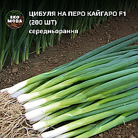 Цибуля на перо Кайгаро F1 -  середньорання -  (200 шт  zip-пакет)