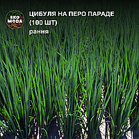 Цибуля на перо Параде  -  рання -  (100 шт  zip-пакет)