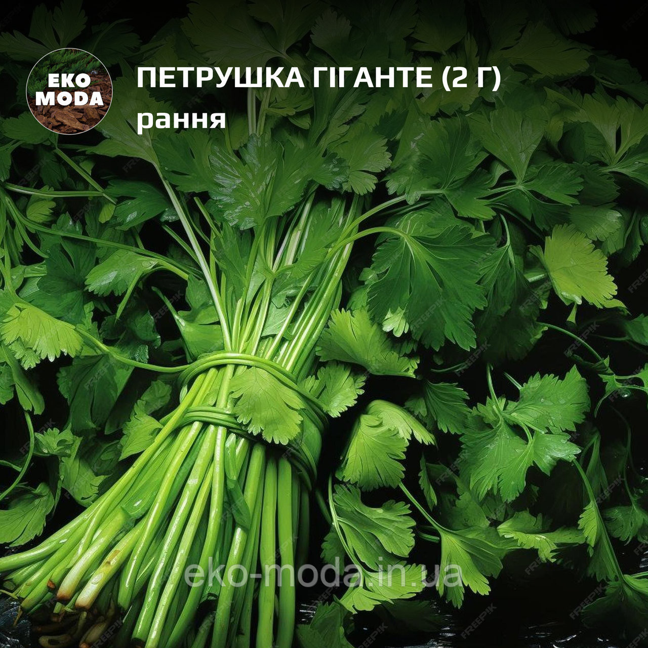 Петрушка Гіганте -  рання -  (2 г  zip-пакет)
