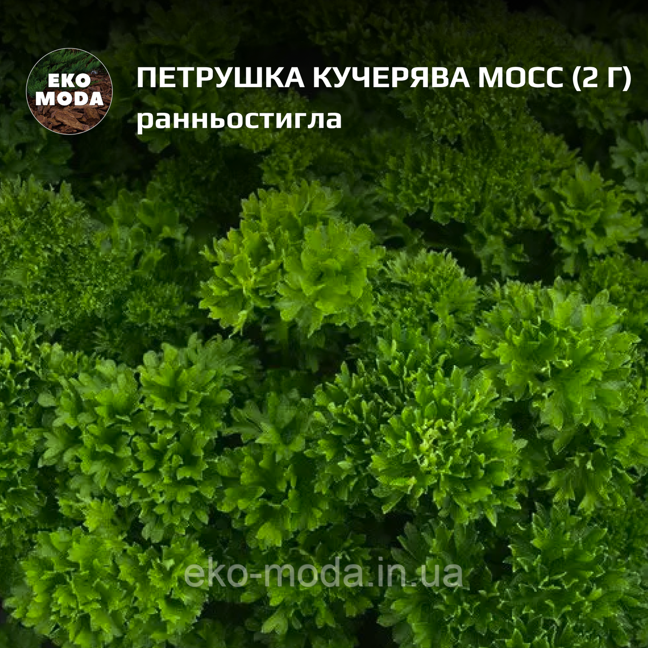 Петрушка кучерява Мосс - Ранньостигла - (2 г zip-пакет), фото 1
