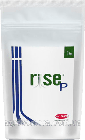 Райс Пі / Rise P інокулянт бактерія, 0,2 кг Lallemand