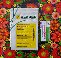 Насіння томату Баста F1 (Clause), 1 000 насінин — ранній (60-65 днів), червоний, детермінантний, сливка
