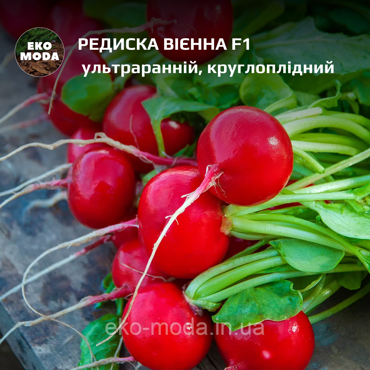 Редиска Вієнна F1 -ранній, круглоплідний - (2 г zip-пакет)