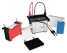 Набір переносу для електрофорезу DL-ZY02