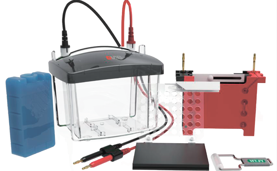 Набір переносу для електрофорезу DL-ZY03