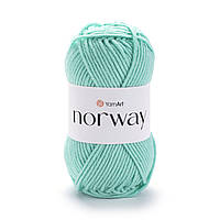 YarnArt NORWAY (Норвей) №841 м'ятний  (Пряжа акрилова, нитки для в'язання)
