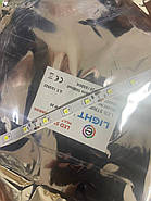 Світлодіодна стрічка 4040SMD 60LedS/m  6500K 8 Вт (10м/бабина), фото 6