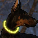 Світлодіодний нашийник для собак і кішок з USB зарядкою та регульованою довжиною Purlov 24200, фото 7