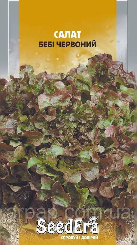 Насіння Салат Листової Бебі Червоний 1 г, Seedera, фото 1