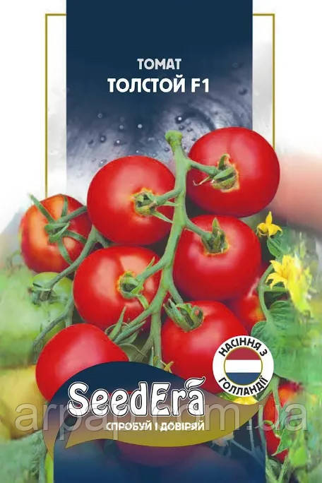 Томат Толстой F1 Seedera Profi, 10 шт., фото 1